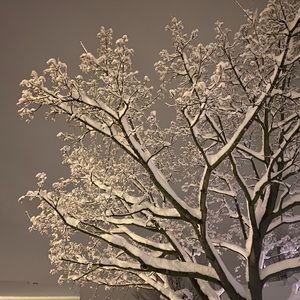 Meet your Posher, Agathe